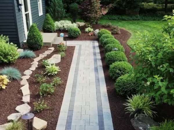landscape blog - Privacy Trees And Shrubs
