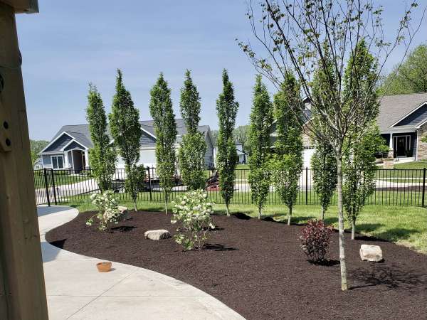 privacy-trees-and-shrubs image from our Fort Wayne Project